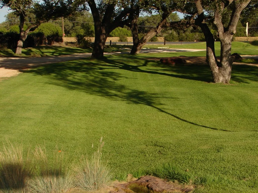 JaMur Zoysia