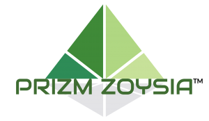 Prizm Zoysia