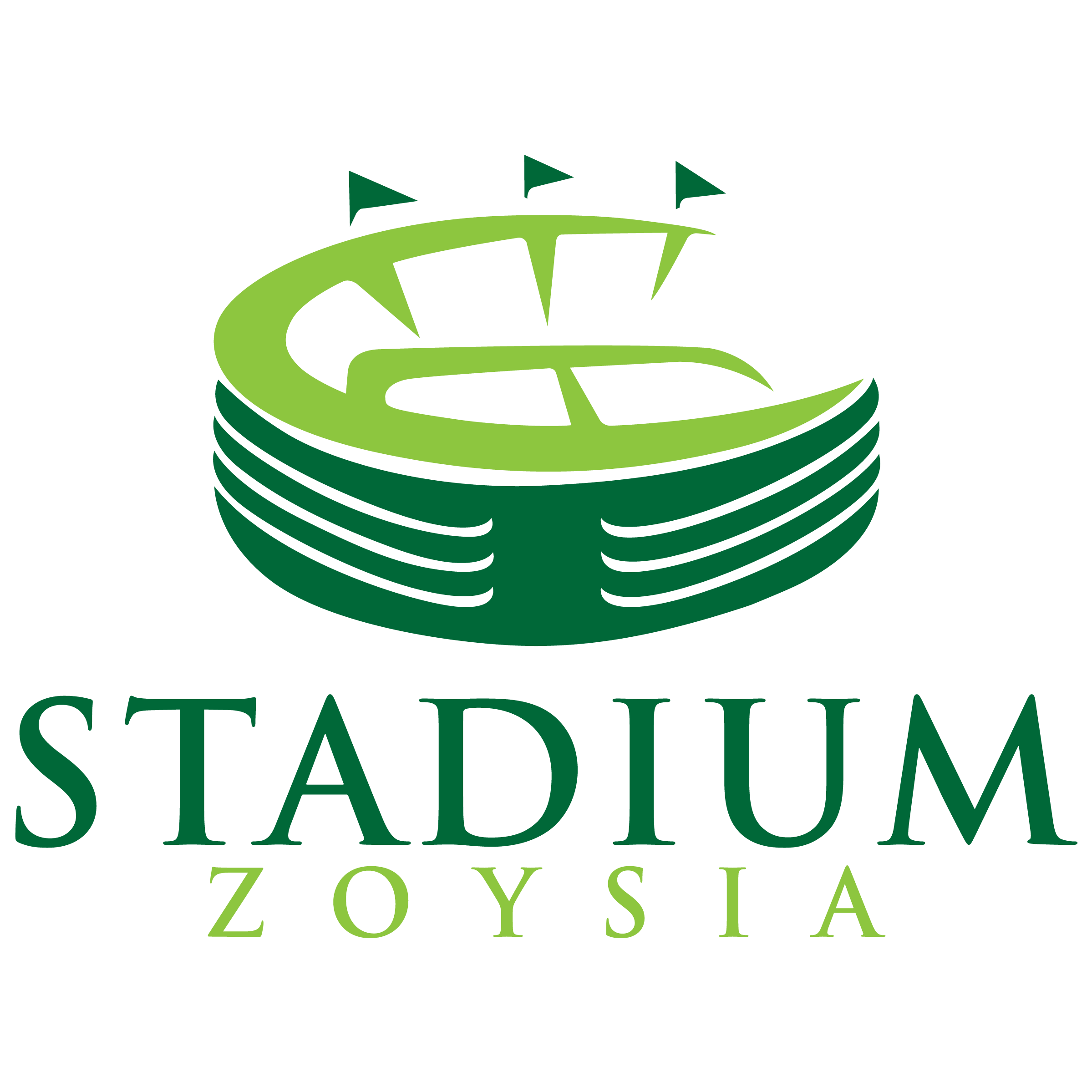 Stadium Zoysia