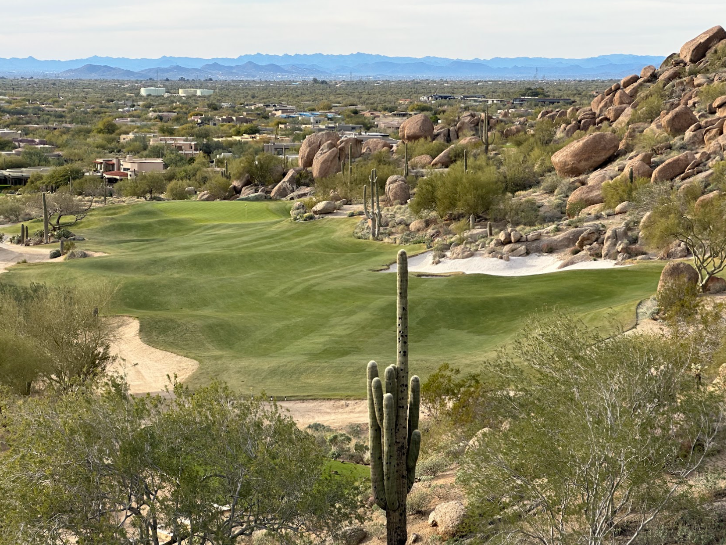 Desert golf course with Stadium Zoysia