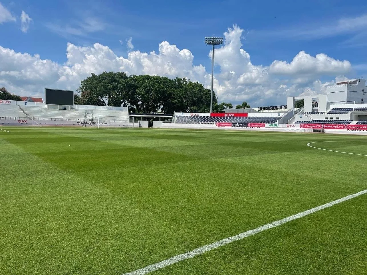 Stadium Zoysia sports field with painted line